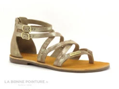 Tropeziennes PHARELL Beige Or - 23084 - Sandale Montante Tong -Les Bonnes Chaussures cd24607c73b9e66c561f35ea11d5d5ef img 2382.jpg 149331